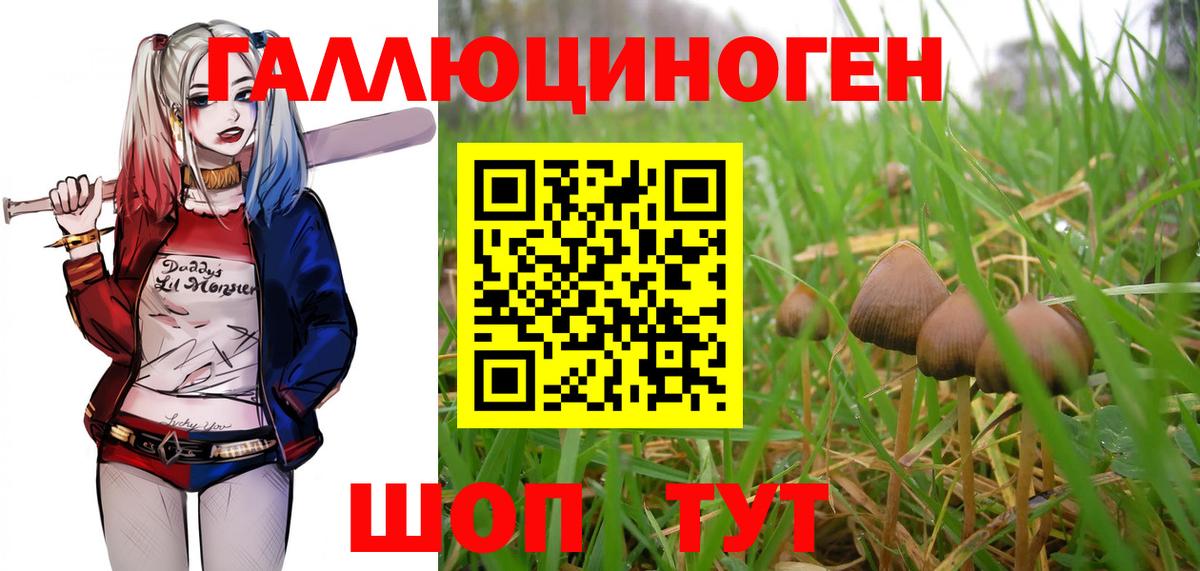 Галлюциногенные грибы Magic Shrooms Кыштым
